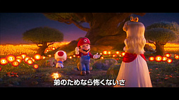 ���������꡼ No.006�Υ���ͥ������ / �ǲ�֥��������ѡ��ޥꥪ�֥饶�������ࡼ�ӡ��פκǽ��ȥ쥤�顼�����������������륯�åѷ��Ĥ䡤�ޥꥪ�����Υ����ȥХȥ�ʤɤ��Ͽ