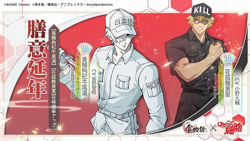 ꡼ No.002 | ֿʪפȥ˥֤Ϥ餯˦פΥܥ٥Ȥ