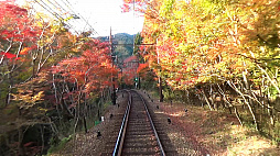 Ŵƻ�ˤäݤ�ϩ������ �û��ż���