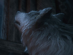 ���Ÿ��դ��󤬲Τ���FF16�פμ���Ρַ�򸫤Ƥ����ס����ڥ����ࡼ�ӡ��������ˡ����Ť���ȵ���ľ����Ȥ�����ư����Ԥ������