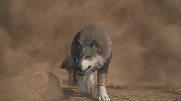 ꡼ No.018 | ʤ˥磻Ƥ!?FINAL FANTASY XVIץ饤밦ϵȥȥ륬ɤΤȤȤ̿