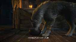 ꡼ No.021 | ʤ˥磻Ƥ!?FINAL FANTASY XVIץ饤밦ϵȥȥ륬ɤΤȤȤ̿