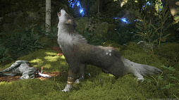 ꡼ No.027 | ʤ˥磻Ƥ!?FINAL FANTASY XVIץ饤밦ϵȥȥ륬ɤΤȤȤ̿