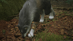 ꡼ No.028 | ʤ˥磻Ƥ!?FINAL FANTASY XVIץ饤밦ϵȥȥ륬ɤΤȤȤ̿