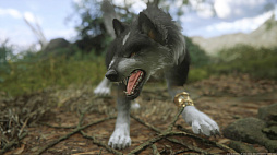 ꡼ No.029 | ʤ˥磻Ƥ!?FINAL FANTASY XVIץ饤밦ϵȥȥ륬ɤΤȤȤ̿