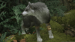 ꡼ No.031 | ʤ˥磻Ƥ!?FINAL FANTASY XVIץ饤밦ϵȥȥ륬ɤΤȤȤ̿