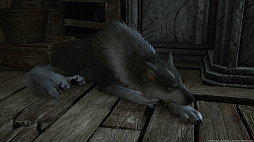 ꡼ No.032 | ʤ˥磻Ƥ!?FINAL FANTASY XVIץ饤밦ϵȥȥ륬ɤΤȤȤ̿