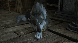 ꡼ No.033 | ʤ˥磻Ƥ!?FINAL FANTASY XVIץ饤밦ϵȥȥ륬ɤΤȤȤ̿