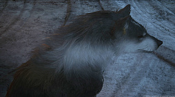 ꡼ No.037 | ʤ˥磻Ƥ!?FINAL FANTASY XVIץ饤밦ϵȥȥ륬ɤΤȤȤ̿