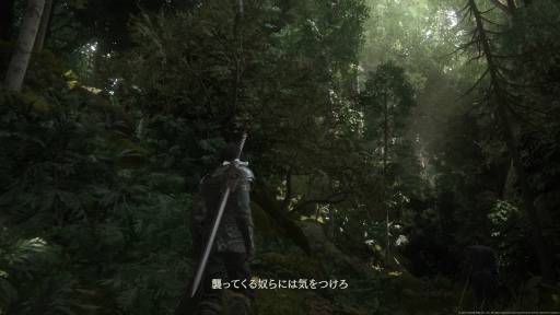 ���������꡼ No.006�Υ���ͥ������ / �Υץ쥤��ݡϥե����ʥ�ե��󥿥����ǿ����FF16�ס�������꡼�������������ܤ���ʥ�Х�󥰿���ϡ�FF�פβ�ǽ�����󤯤��Ȥ���������