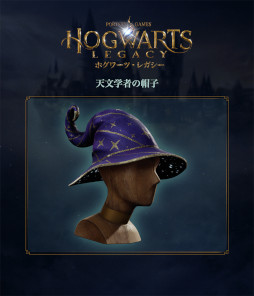 ���������꡼ No.002�Υ���ͥ������ / PS5/PS4�ǡ֥ۥ���ġ��쥬�����ס�����Ź���Ȥ����������ŵ�����