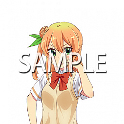 ꡼ No.019 | ɲڥmaimai Ǥä SplashפƯ