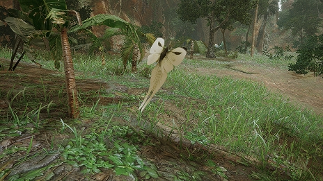 ꡼ No.033 | ֥󥹥ϥ󥿡饤פθǤ2021ǯ1ۿꡣ󥹥ɲåǧǤȥ쥤顼