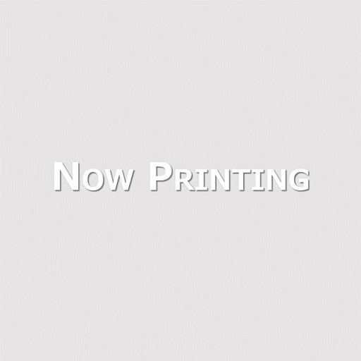 ���������꡼ No.004�Υ���ͥ������ / �֥�󥹥����ϥ󥿡��饤���ס�����å��̥��ꥸ�ʥ륰�å�����ʤɸ���