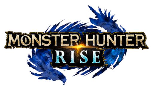 ꡼ No.001Υͥ / ֥󥹥ϥ󥿡饤פ500˵ǰ˥ƥѥåۿ