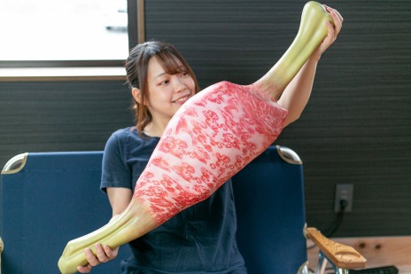 ���������꡼ No.013�Υ���ͥ������ / ���󤬤�����ꥢ���ɽ�����֥�󥹥����ϥ󥿡��饤���פδ�Ϣ���å����ԥ�֥��������Хå���¿��Ū�ޤ��餬��ȯ��