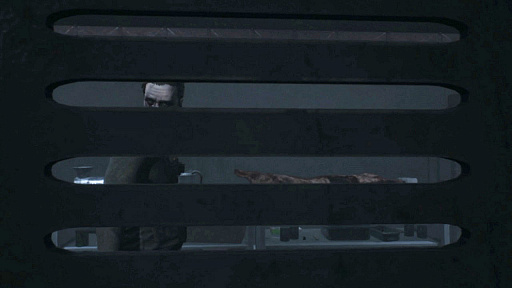 ꡼ No.010Υͥ / ۥ顼֥ޥɡ֥ ݡפκǿȥ쥤顼ȯԤˤܺΥݥȲ餫