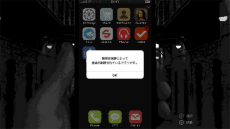 ꡼ No.005Υͥ / ֥ץꥫפȡ֥꡼󥸥פSwitchǺۿꡣڹθĿͳȯSomiοADV2󥷥塼޵о