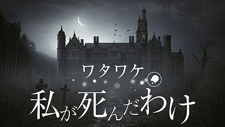 ꡼ No.010 | ȤʤäƼȤλͳõ롣SwitchѥѥADV֥勵辰 - 䤬櫓פۿ