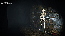 画像ギャラリー No.003のサムネイル画像 / Switch用ホラーゲーム「ダンジョンナイトメア 1+2 コレクション」が2021年1月7日に配信