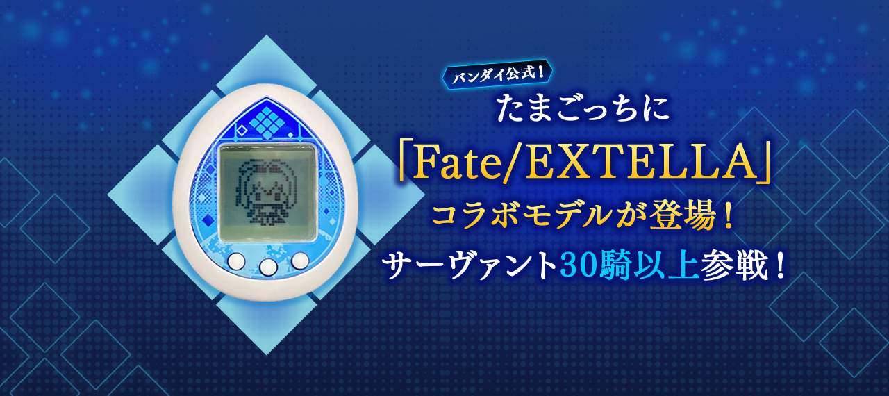 シリーズ10周年記念の限定生産品「Fate/EXTELLA Celebration BOX」が 