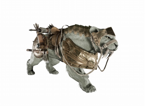 ꡼ No.008 | ɥ󥸥ֶƱƤȲ׼֥ǥ󡧥ϥ顦饤󥰡ץåץǡȤǳƼ葉ɥƥɲ