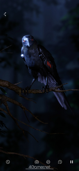 ꡼ No.012 | ˤ餷ʤܤ롽ȿϢ ǽϿ饯ΥȡϥġޤȤ