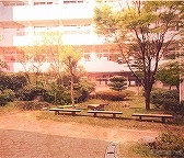 ꡼ No.087Υͥ / ֻͥܿ -Ʋ-׻ưæADVΥ٥륷꡼5ǯˤƴϢʤޤäȾҲ𡪡ФåդؤΥ᡼륤󥿥ӥ塼