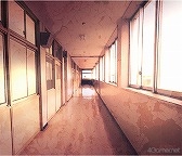 ꡼ No.088Υͥ / ֻͥܿ -Ʋ-׻ưæADVΥ٥륷꡼5ǯˤƴϢʤޤäȾҲ𡪡ФåդؤΥ᡼륤󥿥ӥ塼