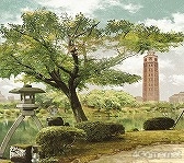 ꡼ No.117Υͥ / ֻͥܿ -Ʋ-׻ưæADVΥ٥륷꡼5ǯˤƴϢʤޤäȾҲ𡪡ФåդؤΥ᡼륤󥿥ӥ塼