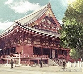 ꡼ No.125Υͥ / ֻͥܿ -Ʋ-׻ưæADVΥ٥륷꡼5ǯˤƴϢʤޤäȾҲ𡪡ФåդؤΥ᡼륤󥿥ӥ塼