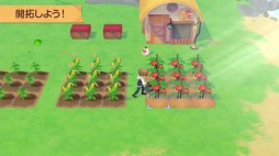 画像ギャラリー No.002のサムネイル画像 / 「牧場物語 オリーブタウンと希望の大地」のプロモーション映像が公開。恋愛候補のビジュアルも収録