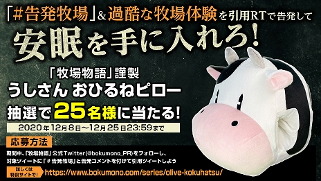 ꡼ No.008 | Ҿʪ ꡼֥ȴ˾ϡסǺȤäƤޤޤʪȥեȡɤȡĮȥ꡼֥ɤξ󤬸