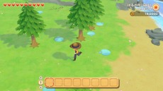 ꡼ No.021 | Ҿʪ ꡼֥ȴ˾ϡפΥ饯ᥤ󥰤ξϤ꡼֥ν15̾