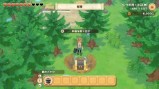 ꡼ No.027 | Ҿʪ ꡼֥ȴ˾ϡפΥ饯ᥤ󥰤ξϤ꡼֥ν15̾