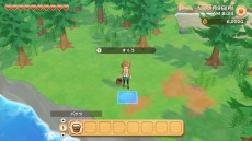 ꡼ No.032 | Ҿʪ ꡼֥ȴ˾ϡפΥ饯ᥤ󥰤ξϤ꡼֥ν15̾