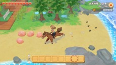 ꡼ No.048 | Ҿʪ ꡼֥ȴ˾ϡפΥ饯ᥤ󥰤ξϤ꡼֥ν15̾