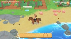 ꡼ No.049 | Ҿʪ ꡼֥ȴ˾ϡפΥ饯ᥤ󥰤ξϤ꡼֥ν15̾