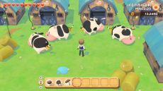 ꡼ No.004 | ꡼ǿҾʪ ꡼֥ȴ˾ϡפȯ䡣Ǥ314ޤ10OFFǹǤ