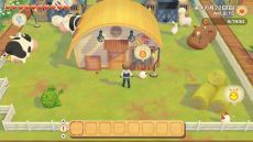 ꡼ No.014 | ꡼ǿҾʪ ꡼֥ȴ˾ϡפȯ䡣Ǥ314ޤ10OFFǹǤ