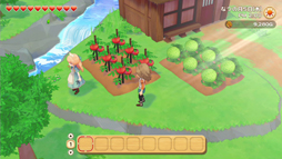 ꡼ No.008 | Ҿʪ ꡼֥ȴ˾ϡסȥѥ󥷥󡦥ѥ ѥåθʡס ۿ