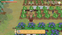 ꡼ No.006 | Ҿʪ ꡼֥ȴ˾ϡסȥѥ󥷥󡦥ѥ3Ƥۿ