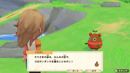 ꡼ No.008 | Ҿʪ ꡼֥ȴ˾ϡסѥ󥷥󡦥ѥ5Ƥۿ