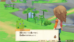 ꡼ No.009 | Ҿʪ ꡼֥ȴ˾ϡסѥ󥷥󡦥ѥ5Ƥۿ