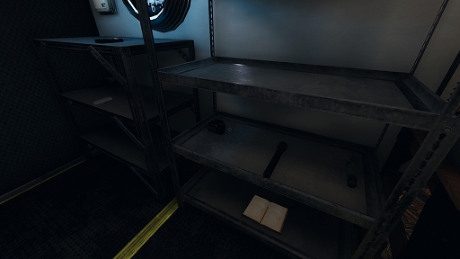 ꡼ No.008 | ݤɤʤۥ顼Phasmophobiaץץ쥤ɡ򤷤餤Ρ褹뿷ĴؤΥɥХҲ