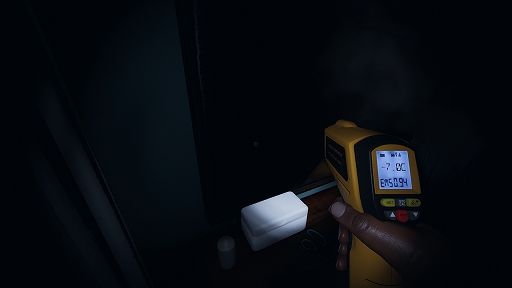 ꡼ No.012 | ݤɤʤۥ顼Phasmophobiaץץ쥤ɡ򤷤餤Ρ褹뿷ĴؤΥɥХҲ