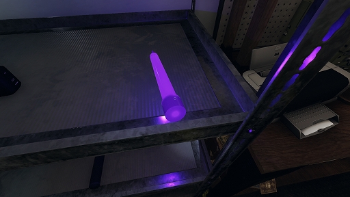 ꡼ No.029 | ݤɤʤۥ顼Phasmophobiaץץ쥤ɡ򤷤餤Ρ褹뿷ĴؤΥɥХҲ