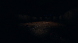 ꡼ No.079 | ݤɤʤۥ顼Phasmophobiaץץ쥤ɡ򤷤餤Ρ褹뿷ĴؤΥɥХҲ