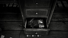 ꡼ No.008 | SteamǡChicken Policeפۿÿͤ̾ӷγΥ륢ɥ٥㡼