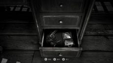 ꡼ No.005 | Chicken Police - Paint it RED!פPS4/Nintendo SwitchǤۿϡÿã깭ϡɥܥɤʪ줬ڤ